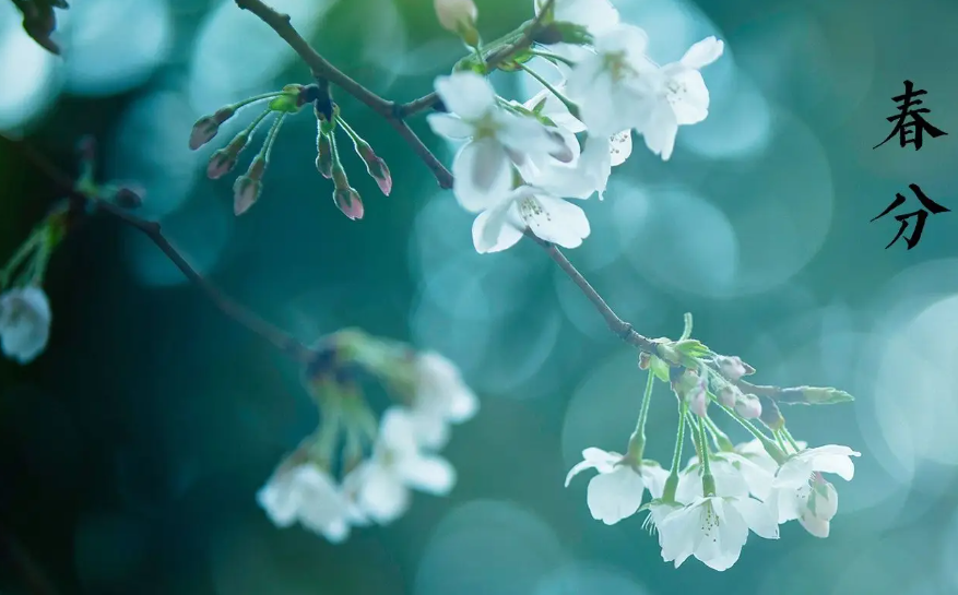 2025春分
